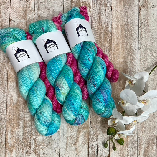 Sock Set by Circus Tonic