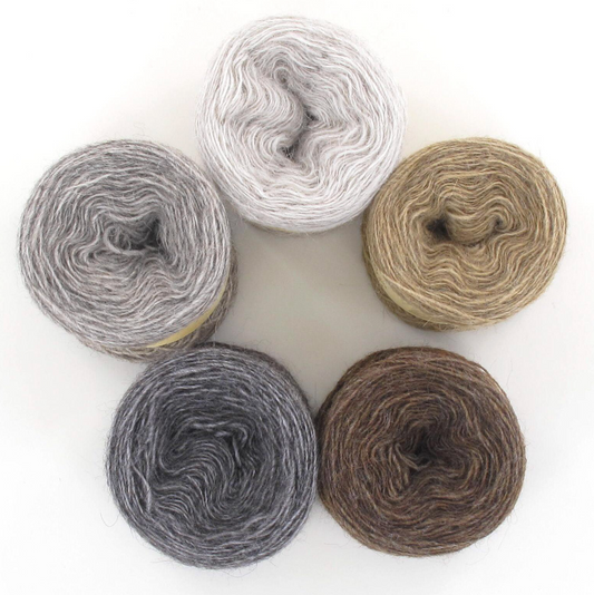 Maya Alpaca Yarn Prism Set 5 x 25gf