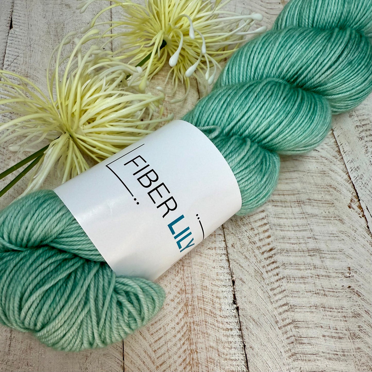 Fiber Lily Super Soft Sock Hand Dyed Yarn