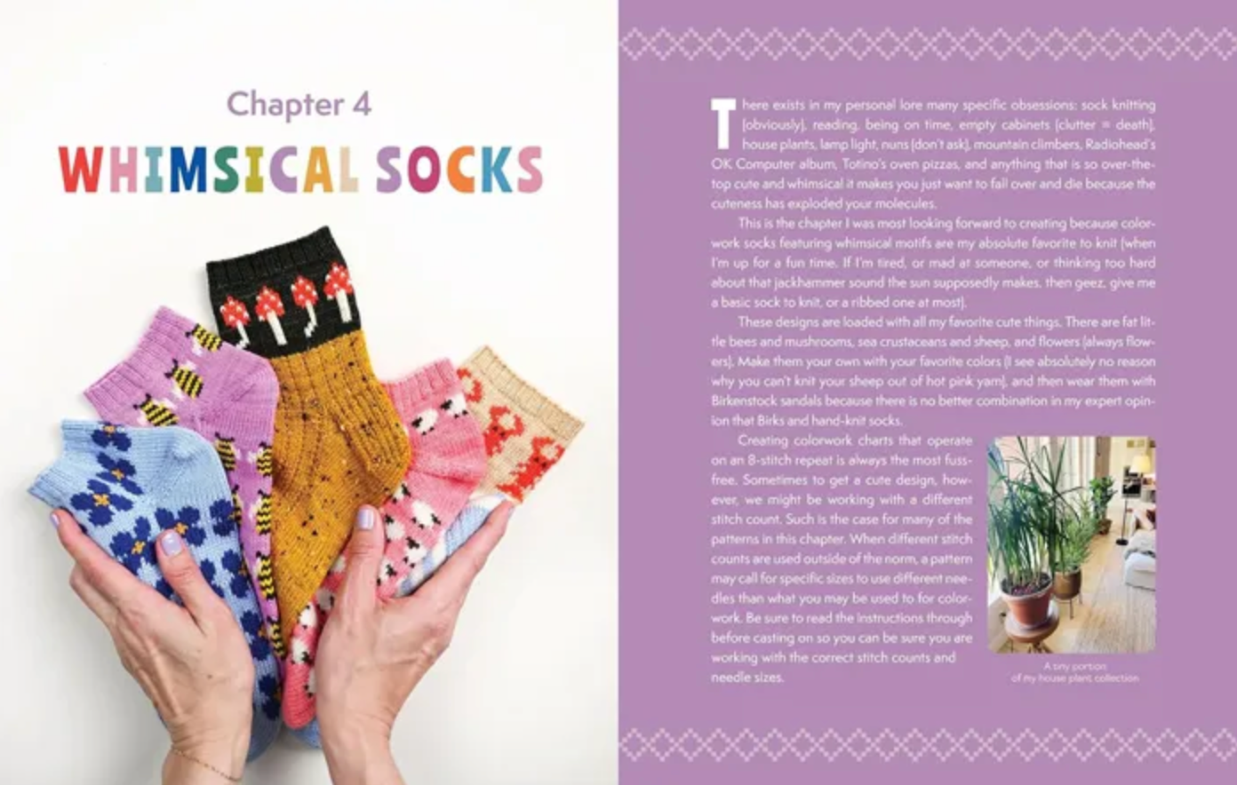 The Sock Obsession by Summer Lee